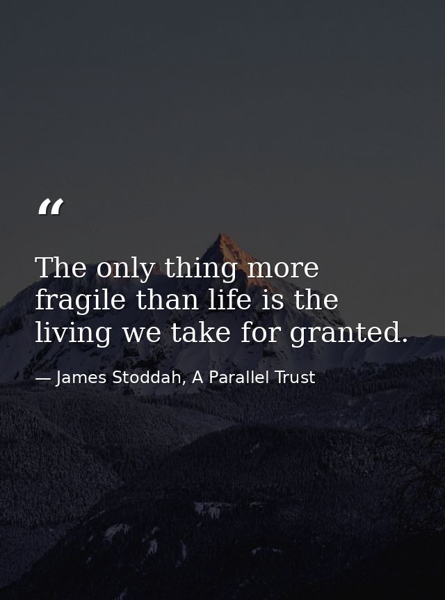 The only thing more fragile than life is the living we take for granted. — James Stoddah, A Parallel Trust