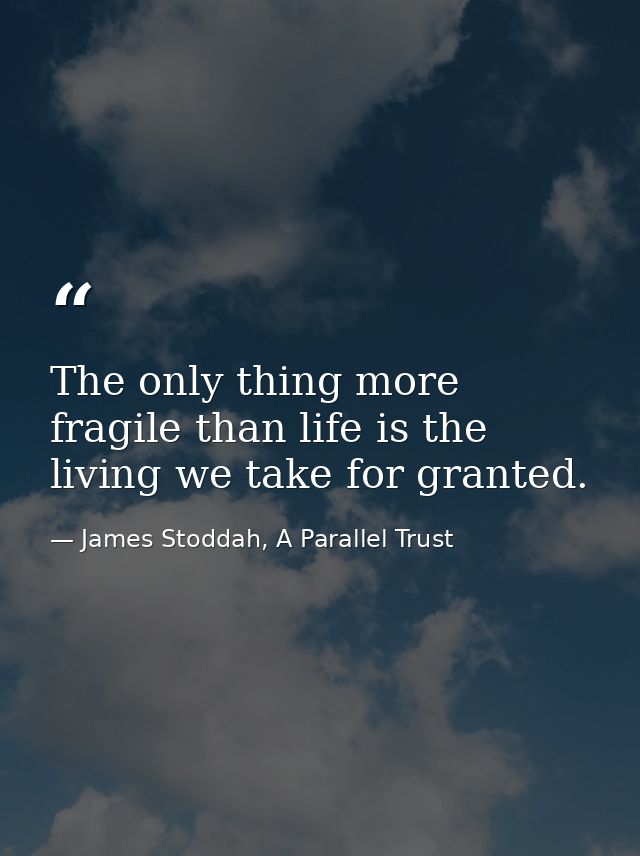 The only thing more fragile than life is the living we take for granted. — James Stoddah, A Parallel Trust