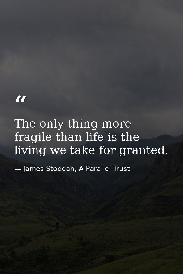 The only thing more fragile than life is the living we take for granted. — James Stoddah, A Parallel Trust