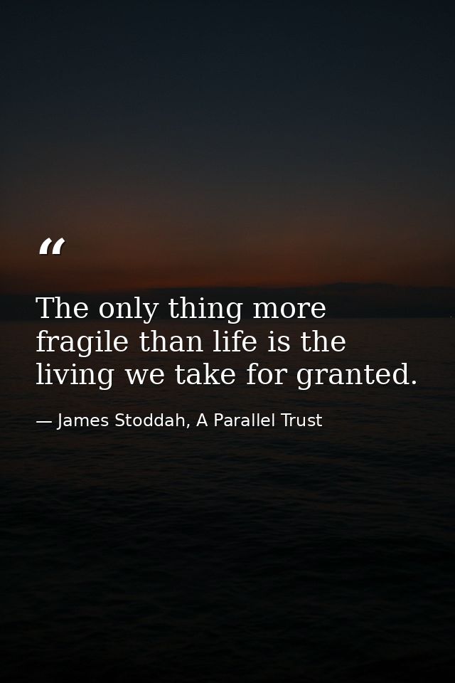 The only thing more fragile than life is the living we take for granted. — James Stoddah, A Parallel Trust