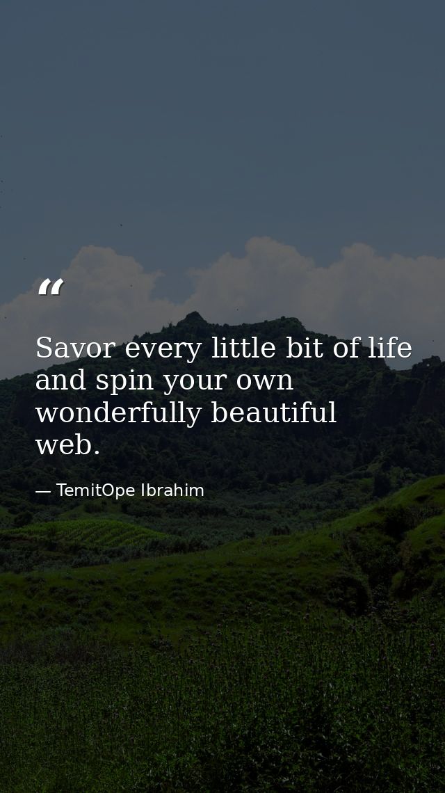 Savor every little bit of life and spin your own wonderfully beautiful web. — TemitOpe Ibrahim