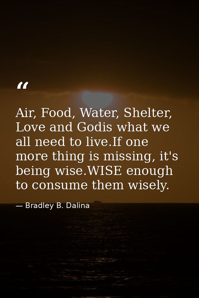 Air, Food, Water, Shelter, Love and Godis what we all need to live.If one more thing is missing, it's being wise.WISE en — Bradley B. Dalina
