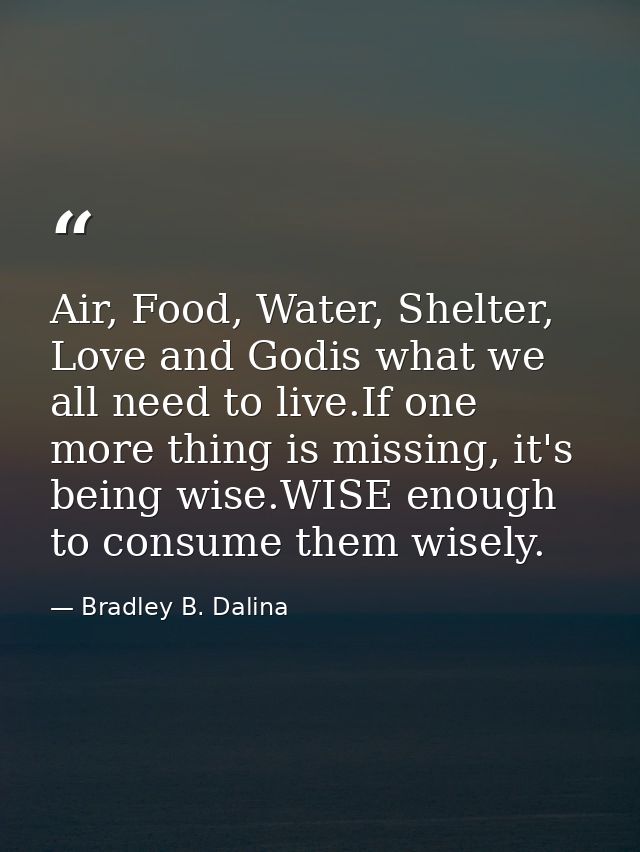 Air, Food, Water, Shelter, Love and Godis what we all need to live.If one more thing is missing, it's being wise.WISE en — Bradley B. Dalina