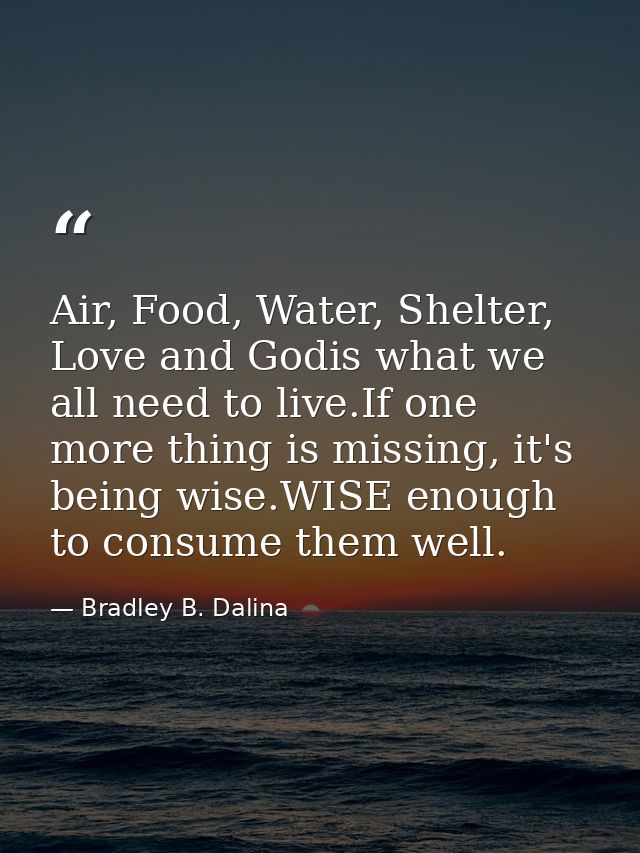 Air, Food, Water, Shelter, Love and Godis what we all need to live.If one more thing is missing, it's being wise.WISE en — Bradley B. Dalina