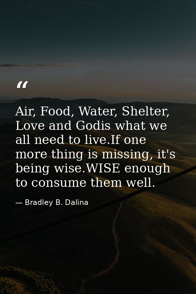Air, Food, Water, Shelter, Love and Godis what we all need to live.If one more thing is missing, it's being wise.WISE en — Bradley B. Dalina