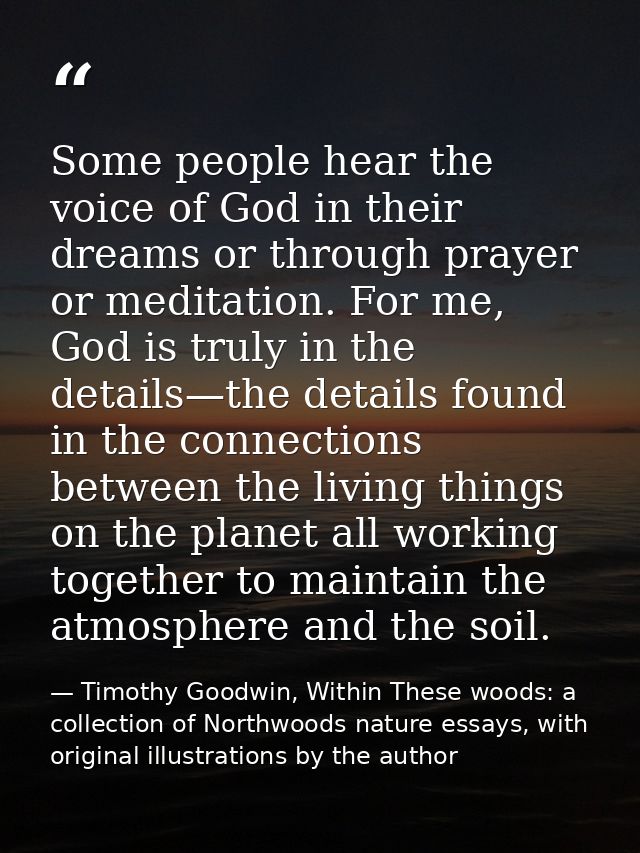 Some people hear the voice of God in their dreams or through prayer or meditation. For me, God is truly in the details—t — Timothy Goodwin, Within These woods: a collection of Northwoods nature essays, with original illustrations by the author