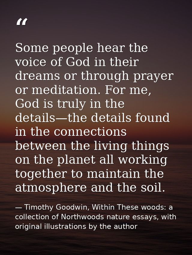 Some people hear the voice of God in their dreams or through prayer or meditation. For me, God is truly in the details—t — Timothy Goodwin, Within These woods: a collection of Northwoods nature essays, with original illustrations by the author