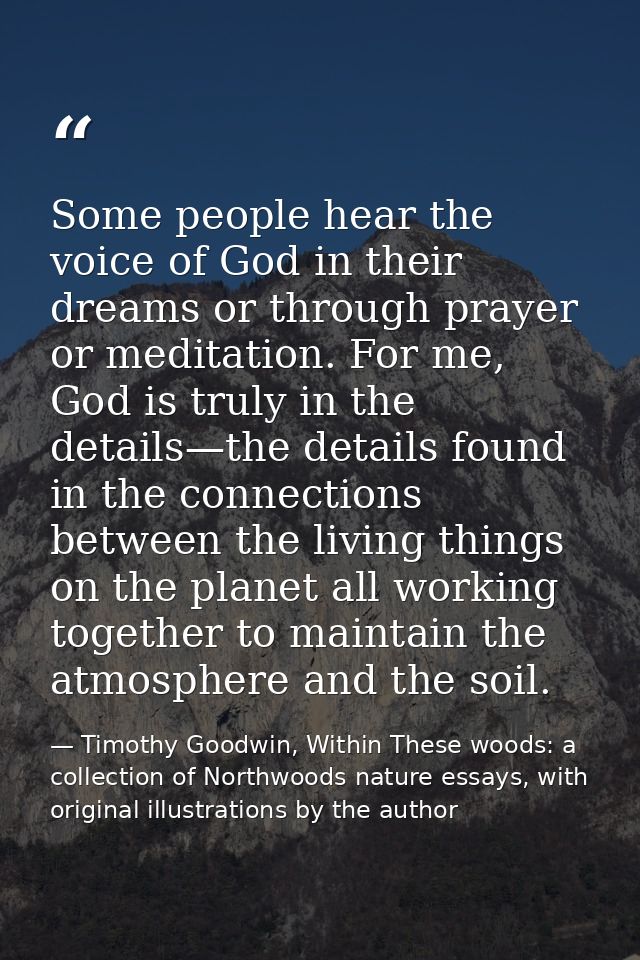 Some people hear the voice of God in their dreams or through prayer or meditation. For me, God is truly in the details—t — Timothy Goodwin, Within These woods: a collection of Northwoods nature essays, with original illustrations by the author