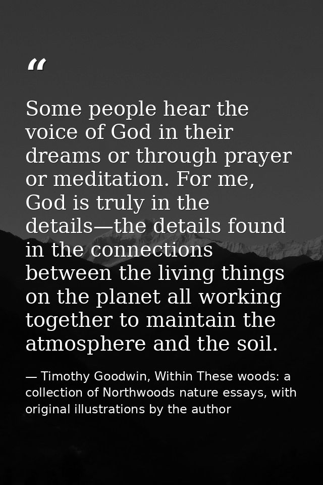 Some people hear the voice of God in their dreams or through prayer or meditation. For me, God is truly in the details—t — Timothy Goodwin, Within These woods: a collection of Northwoods nature essays, with original illustrations by the author
