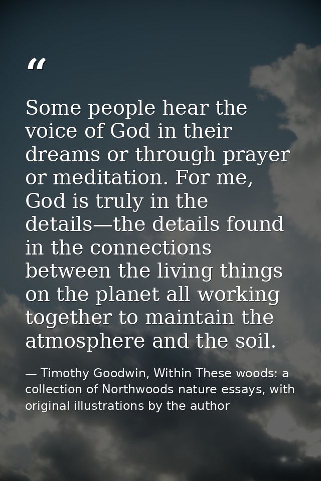 Some people hear the voice of God in their dreams or through prayer or meditation. For me, God is truly in the details—t — Timothy Goodwin, Within These woods: a collection of Northwoods nature essays, with original illustrations by the author
