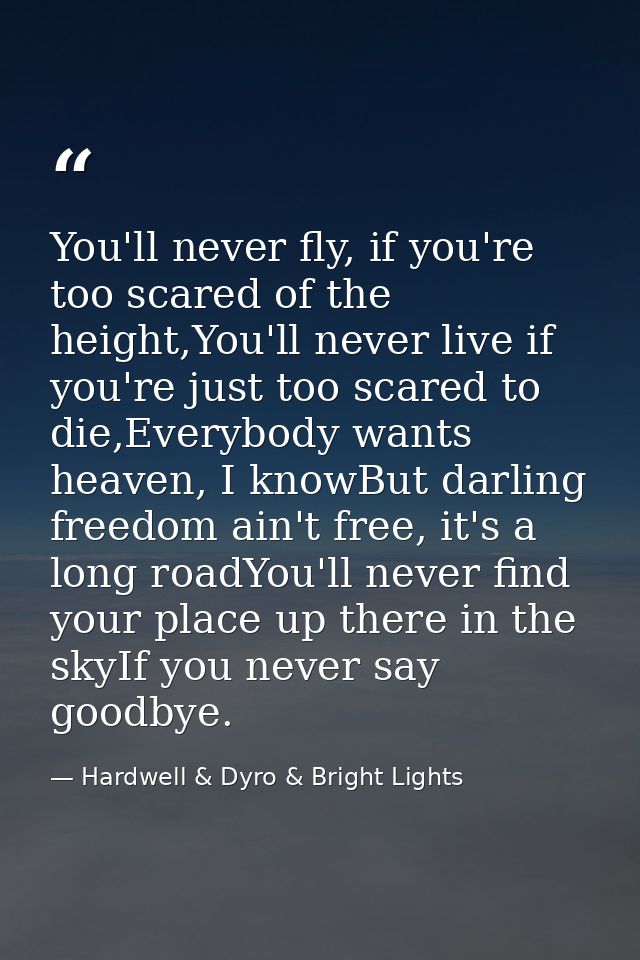 You'll never fly, if you're too scared of the height,You'll never live if you're just too scared to die,Everybody wants  — Hardwell & Dyro & Bright Lights