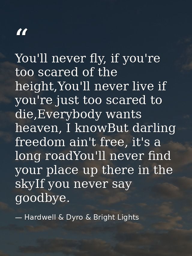 You'll never fly, if you're too scared of the height,You'll never live if you're just too scared to die,Everybody wants  — Hardwell & Dyro & Bright Lights