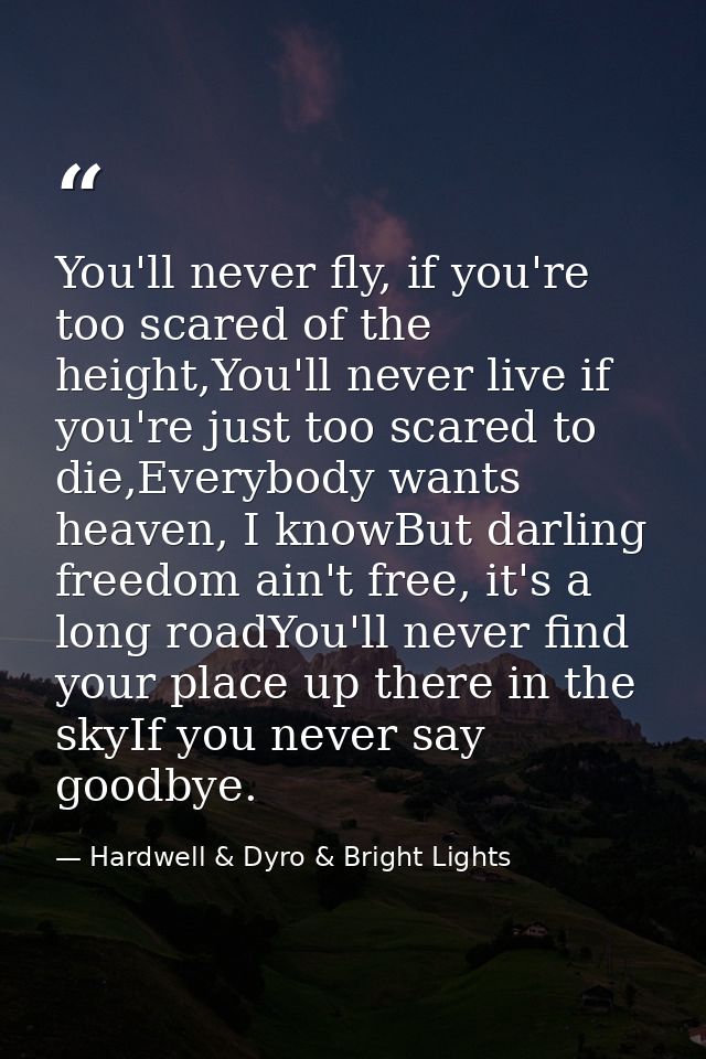 You'll never fly, if you're too scared of the height,You'll never live if you're just too scared to die,Everybody wants  — Hardwell & Dyro & Bright Lights