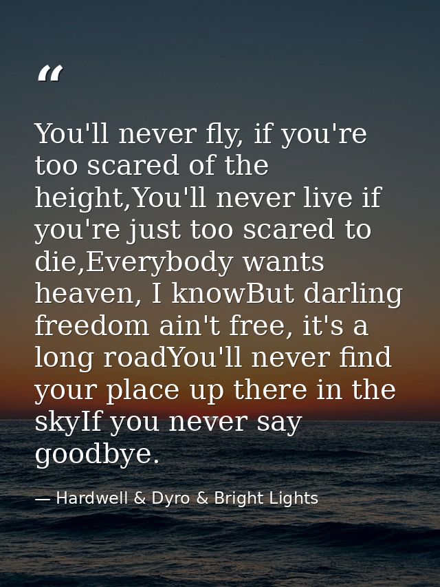 You'll never fly, if you're too scared of the height,You'll never live if you're just too scared to die,Everybody wants  — Hardwell & Dyro & Bright Lights