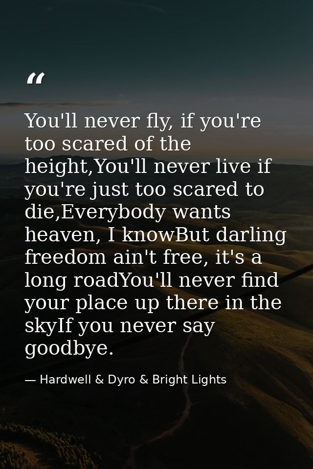 You'll never fly, if you're too scared of the height,You'll never live if you're just too scared to die,Everybody wants  — Hardwell & Dyro & Bright Lights