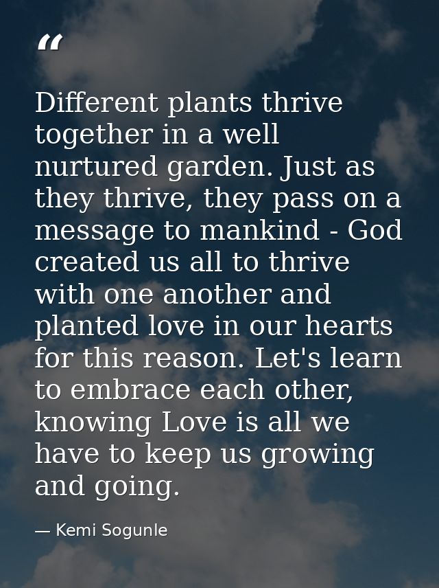 Different plants thrive together in a well nurtured garden. Just as they thrive, they pass on a message to mankind - God — Kemi Sogunle