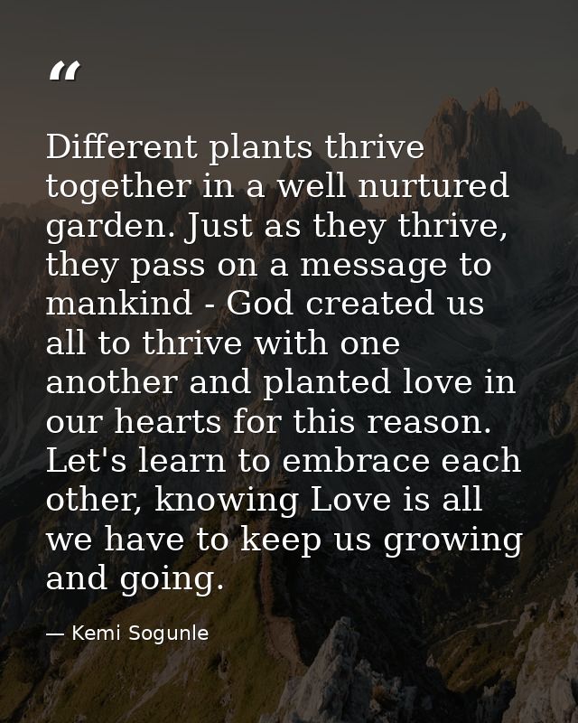 Different plants thrive together in a well nurtured garden. Just as they thrive, they pass on a message to mankind - God — Kemi Sogunle