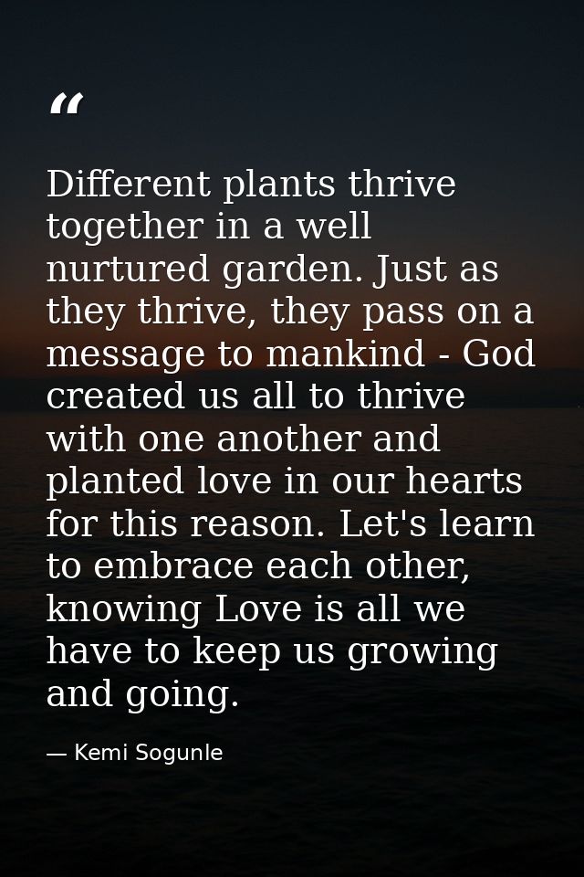 Different plants thrive together in a well nurtured garden. Just as they thrive, they pass on a message to mankind - God — Kemi Sogunle
