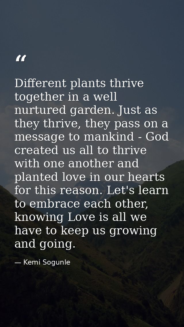Different plants thrive together in a well nurtured garden. Just as they thrive, they pass on a message to mankind - God — Kemi Sogunle