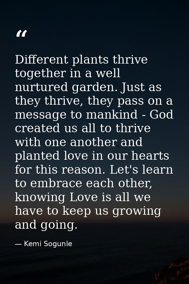 Different plants thrive together in a well nurtured garden. Just as they thrive, they pass on a message to mankind - God — Kemi Sogunle