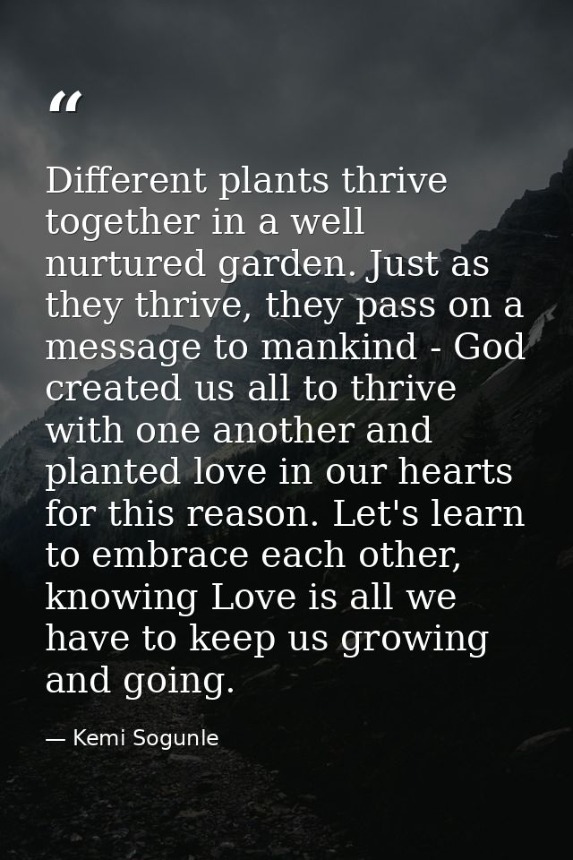 Different plants thrive together in a well nurtured garden. Just as they thrive, they pass on a message to mankind - God — Kemi Sogunle