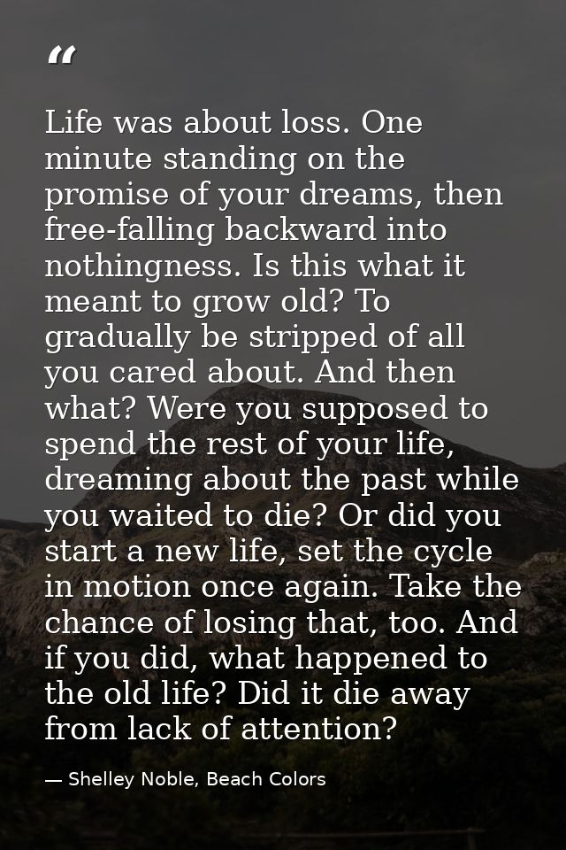 Life was about loss. One minute standing on the promise of your dreams, then free-falling backward into nothingness. Is  — Shelley Noble, Beach Colors
