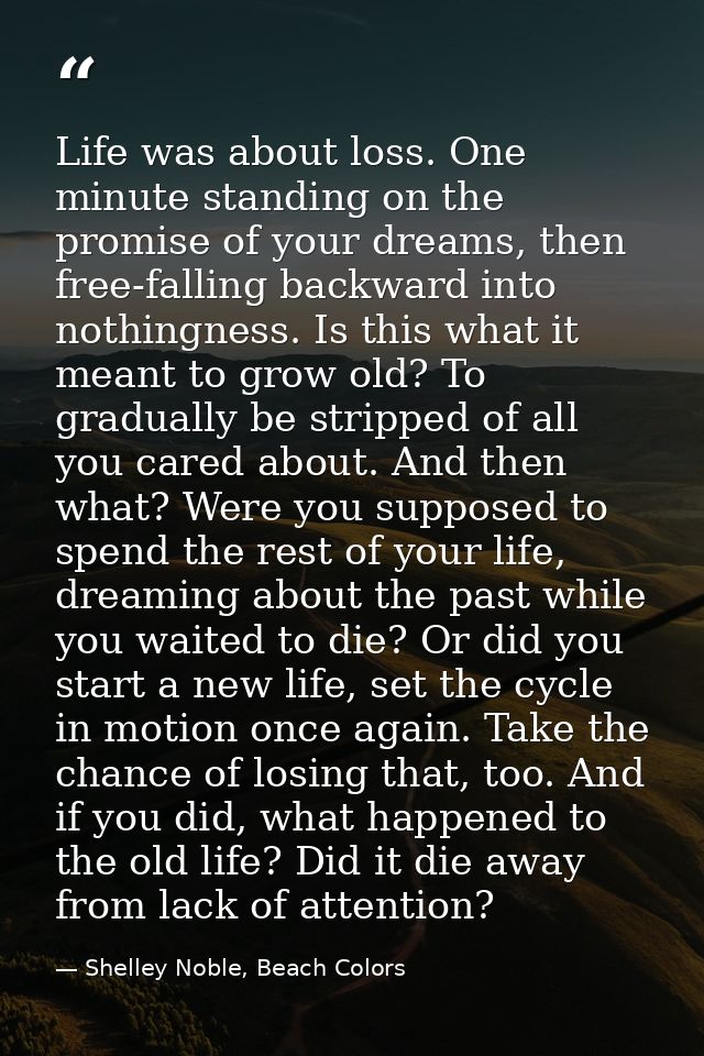 Life was about loss. One minute standing on the promise of your dreams, then free-falling backward into nothingness. Is  — Shelley Noble, Beach Colors