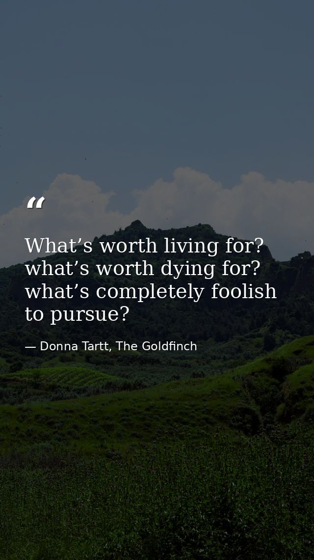 What’s worth living for? what’s worth dying for? what’s completely foolish to pursue? — Donna Tartt, The Goldfinch