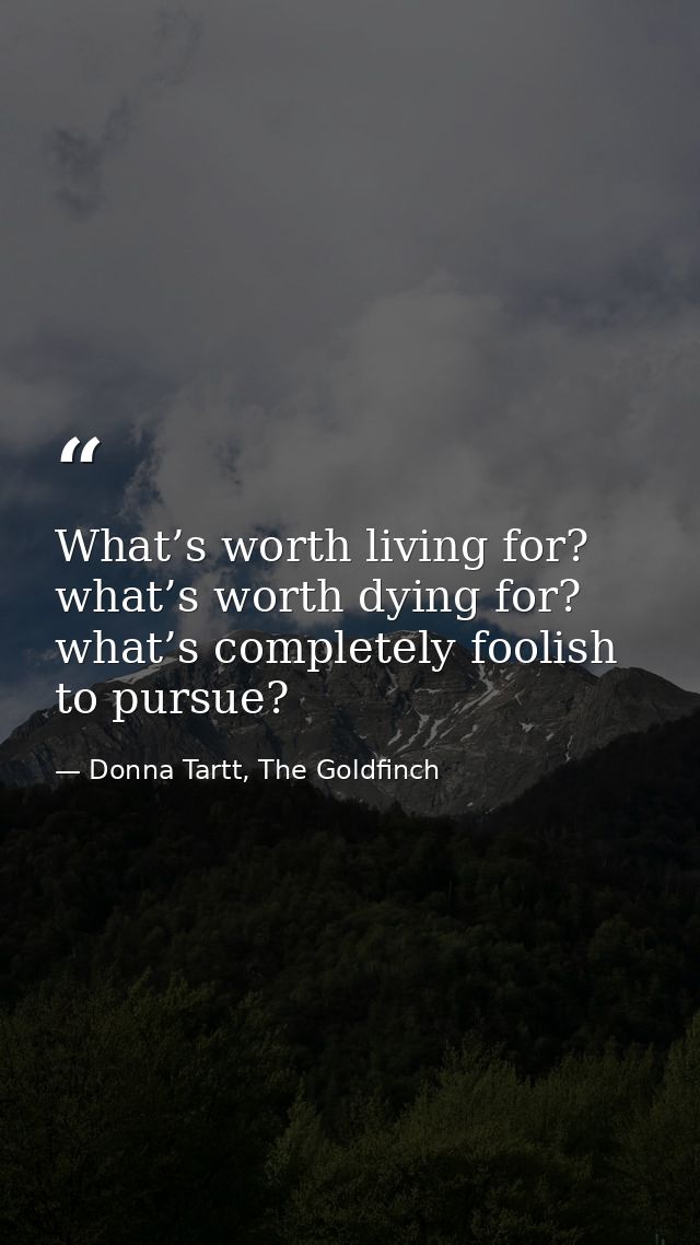 What’s worth living for? what’s worth dying for? what’s completely foolish to pursue? — Donna Tartt, The Goldfinch