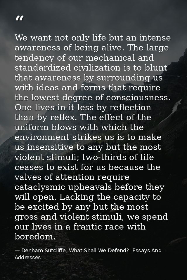 We want not only life but an intense awareness of being alive. The large tendency of our mechanical and standardized civ — Denham Sutcliffe, What Shall We Defend?: Essays And Addresses