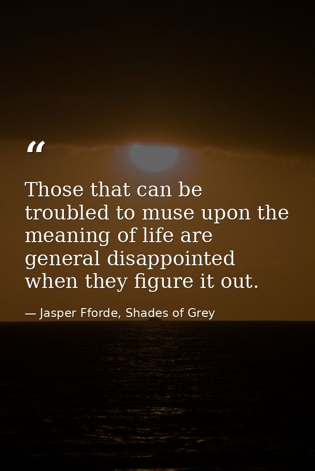 Those that can be troubled to muse upon the meaning of life are general disappointed when they figure it out. — Jasper Fforde, Shades of Grey