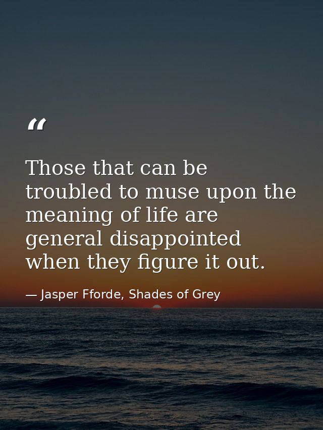 Those that can be troubled to muse upon the meaning of life are general disappointed when they figure it out. — Jasper Fforde, Shades of Grey