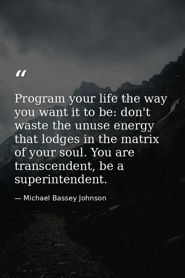 Program your life the way you want it to be: don't waste the unuse energy that lodges in the matrix of your soul. You ar — Michael Bassey Johnson