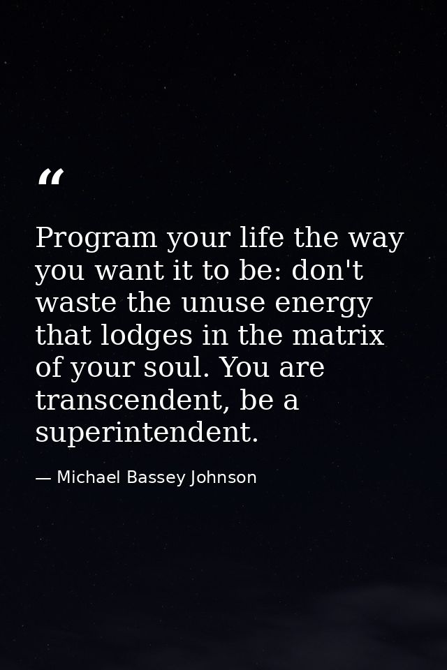 Program your life the way you want it to be: don't waste the unuse energy that lodges in the matrix of your soul. You ar — Michael Bassey Johnson