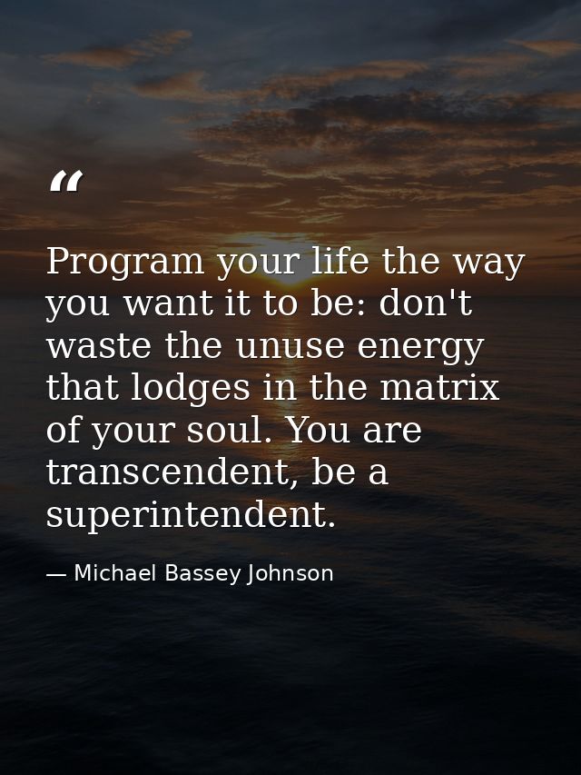Program your life the way you want it to be: don't waste the unuse energy that lodges in the matrix of your soul. You ar — Michael Bassey Johnson