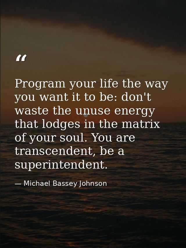Program your life the way you want it to be: don't waste the unuse energy that lodges in the matrix of your soul. You ar — Michael Bassey Johnson