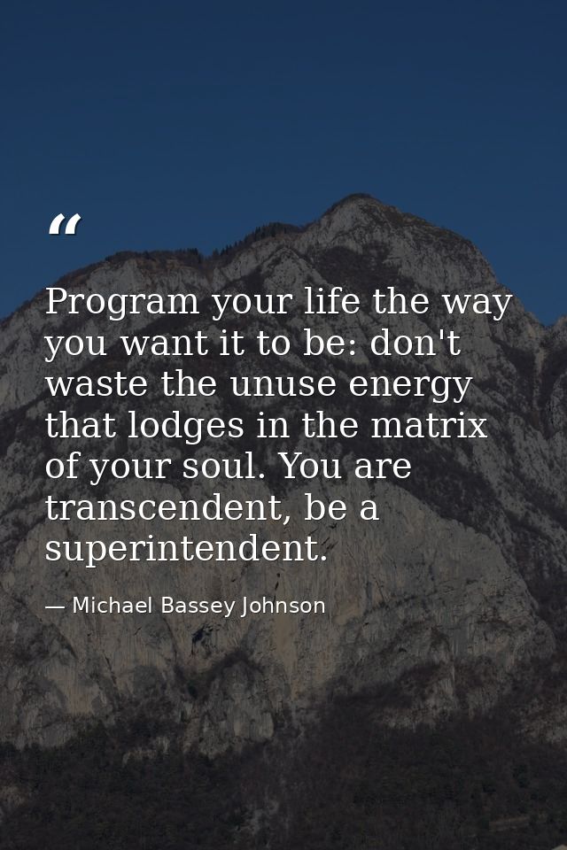 Program your life the way you want it to be: don't waste the unuse energy that lodges in the matrix of your soul. You ar — Michael Bassey Johnson