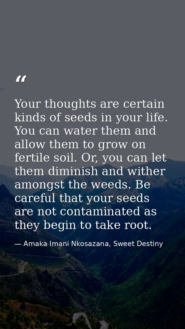 Your thoughts are certain kinds of seeds in your life. You can water them and allow them to grow on fertile soil. Or, yo — Amaka Imani Nkosazana, Sweet Destiny
