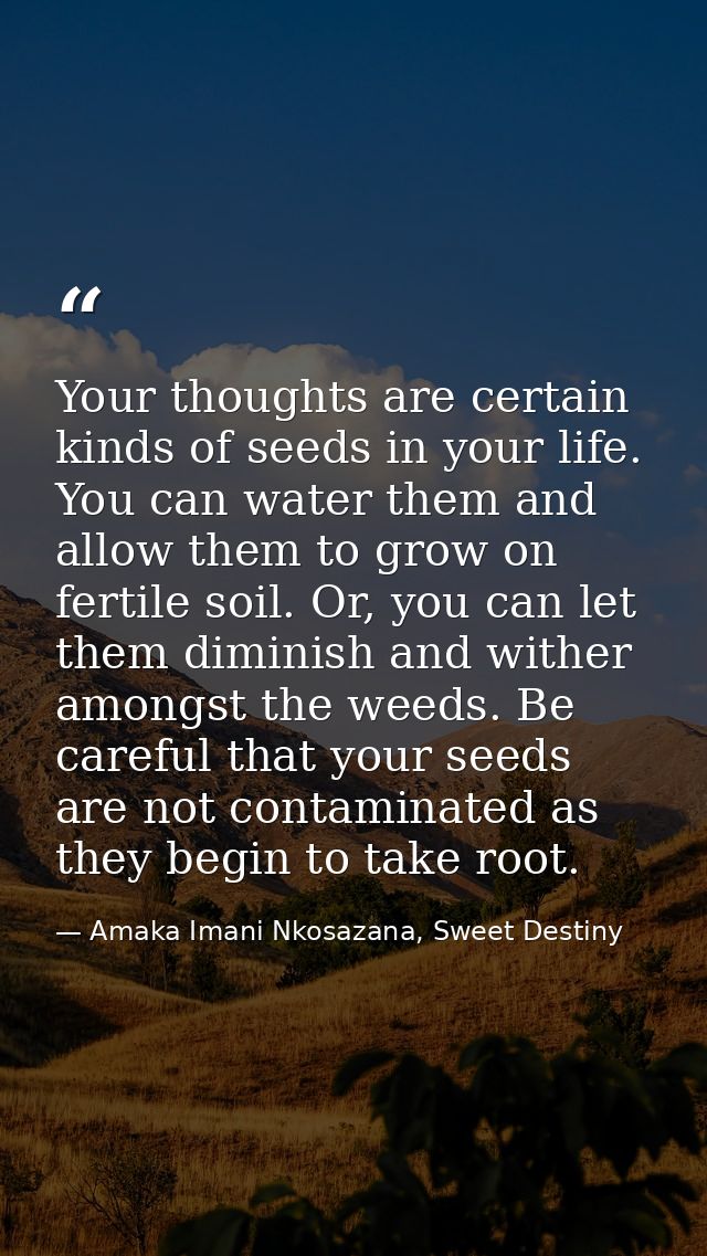 Your thoughts are certain kinds of seeds in your life. You can water them and allow them to grow on fertile soil. Or, yo — Amaka Imani Nkosazana, Sweet Destiny