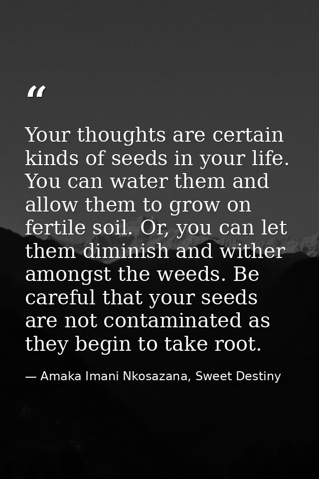 Your thoughts are certain kinds of seeds in your life. You can water them and allow them to grow on fertile soil. Or, yo — Amaka Imani Nkosazana, Sweet Destiny