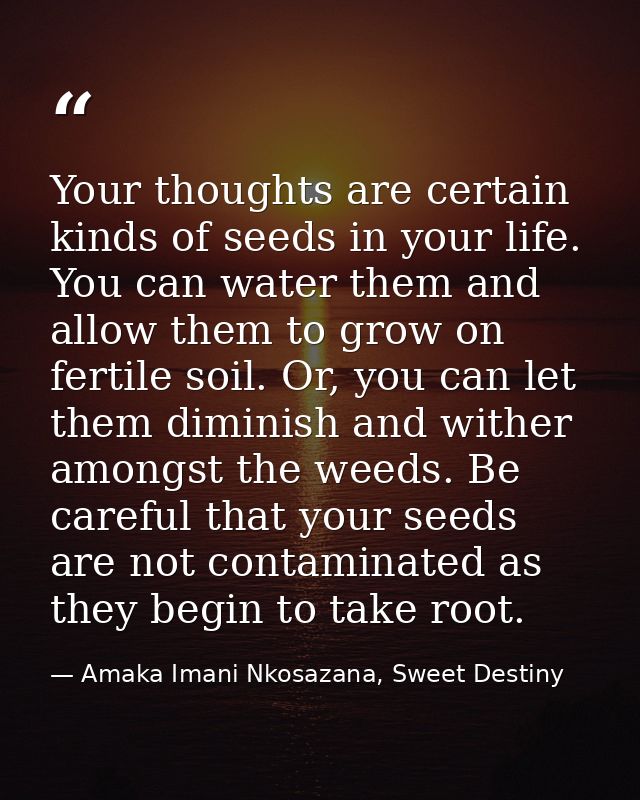Your thoughts are certain kinds of seeds in your life. You can water them and allow them to grow on fertile soil. Or, yo — Amaka Imani Nkosazana, Sweet Destiny