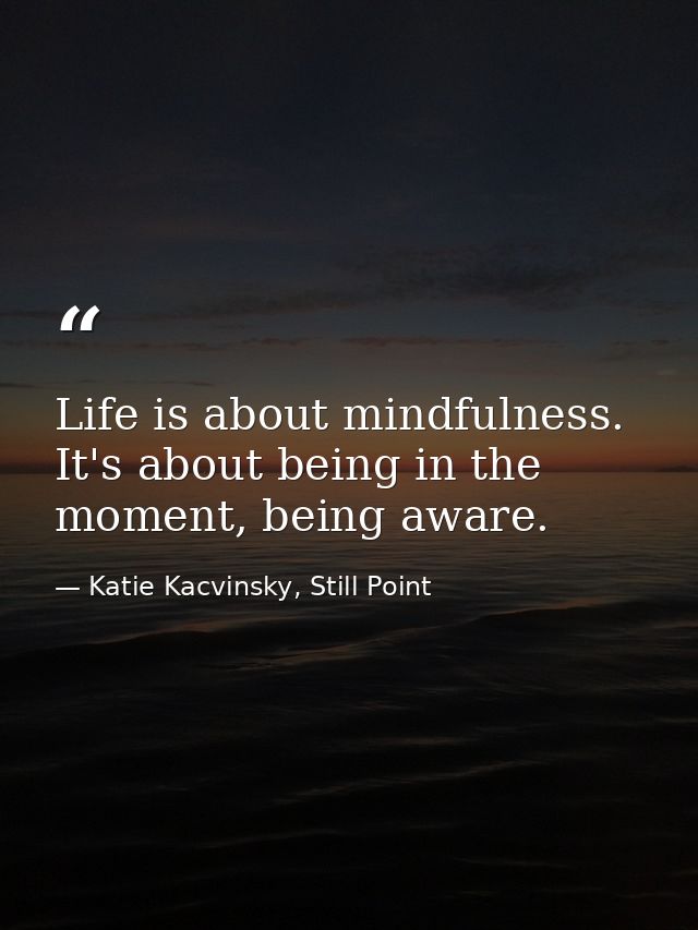 Life is about mindfulness. It's about being in the moment, being aware. — Katie Kacvinsky, Still Point