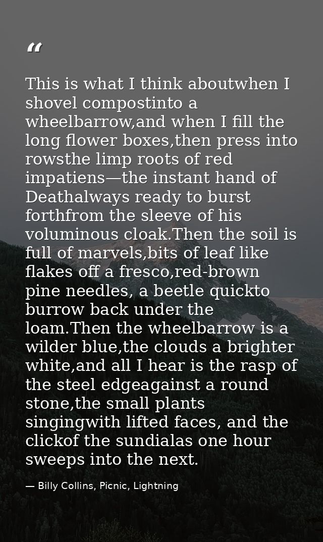 This is what I think aboutwhen I shovel compostinto a wheelbarrow,and when I fill the long flower boxes,then press into  — Billy Collins, Picnic, Lightning
