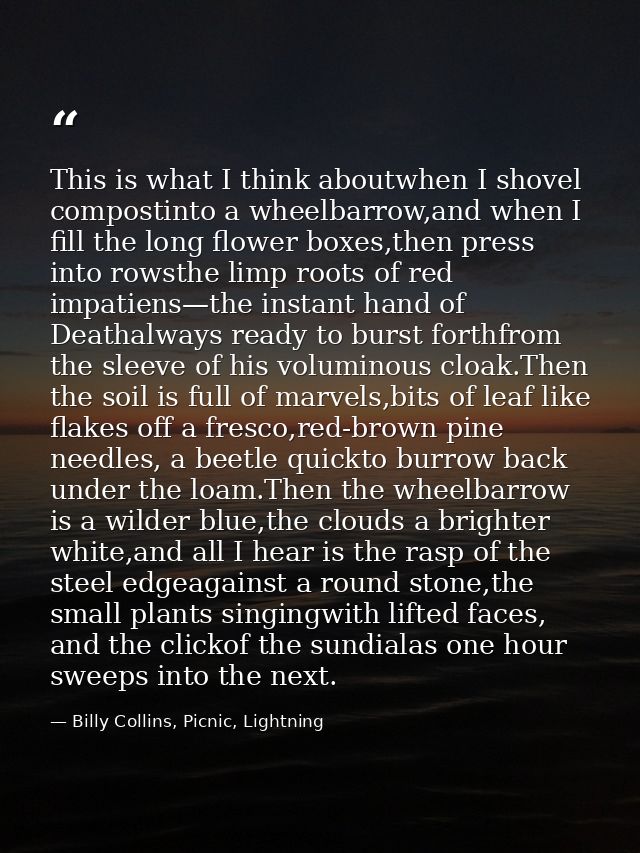 This is what I think aboutwhen I shovel compostinto a wheelbarrow,and when I fill the long flower boxes,then press into  — Billy Collins, Picnic, Lightning