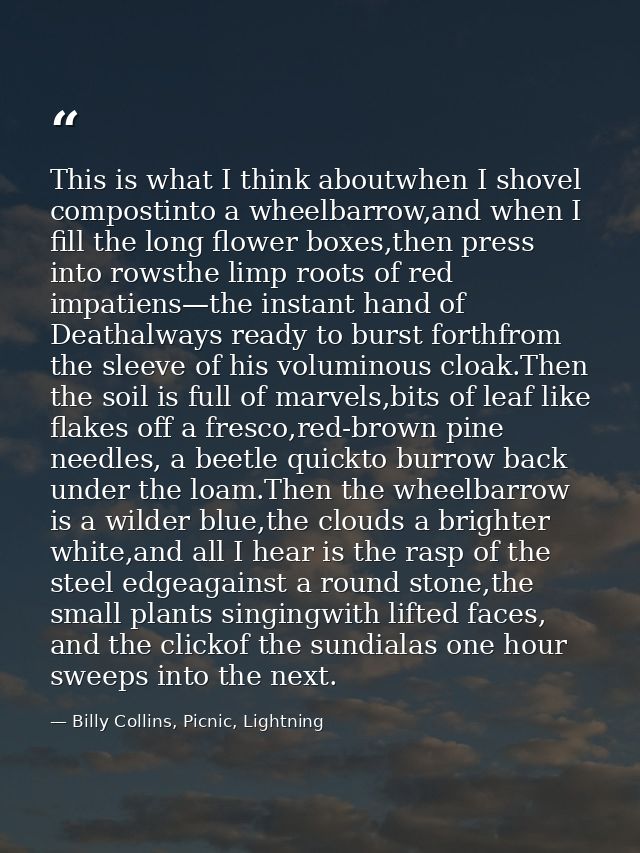 This is what I think aboutwhen I shovel compostinto a wheelbarrow,and when I fill the long flower boxes,then press into  — Billy Collins, Picnic, Lightning