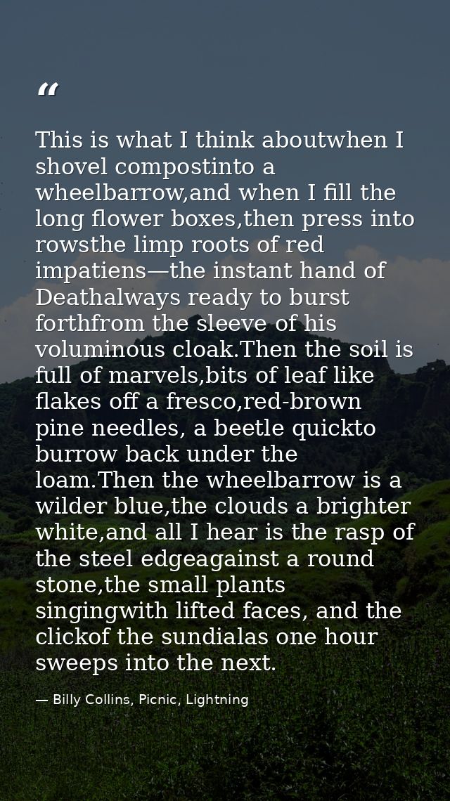 This is what I think aboutwhen I shovel compostinto a wheelbarrow,and when I fill the long flower boxes,then press into  — Billy Collins, Picnic, Lightning
