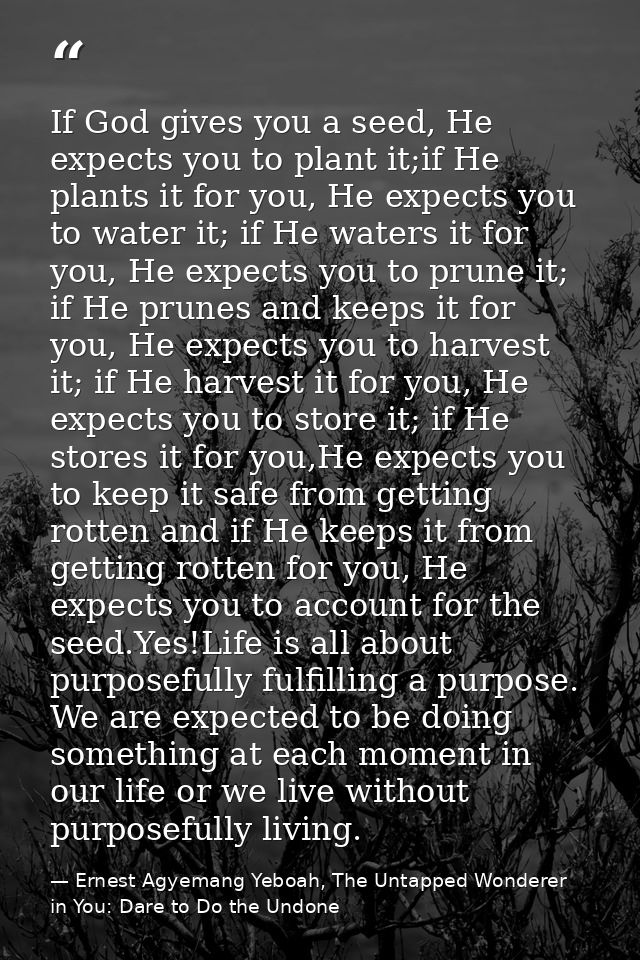If God gives you a seed, He expects you to plant it;if He plants it for you, He expects you to water it; if He waters it — Ernest Agyemang Yeboah, The Untapped Wonderer in You: Dare to Do the Undone