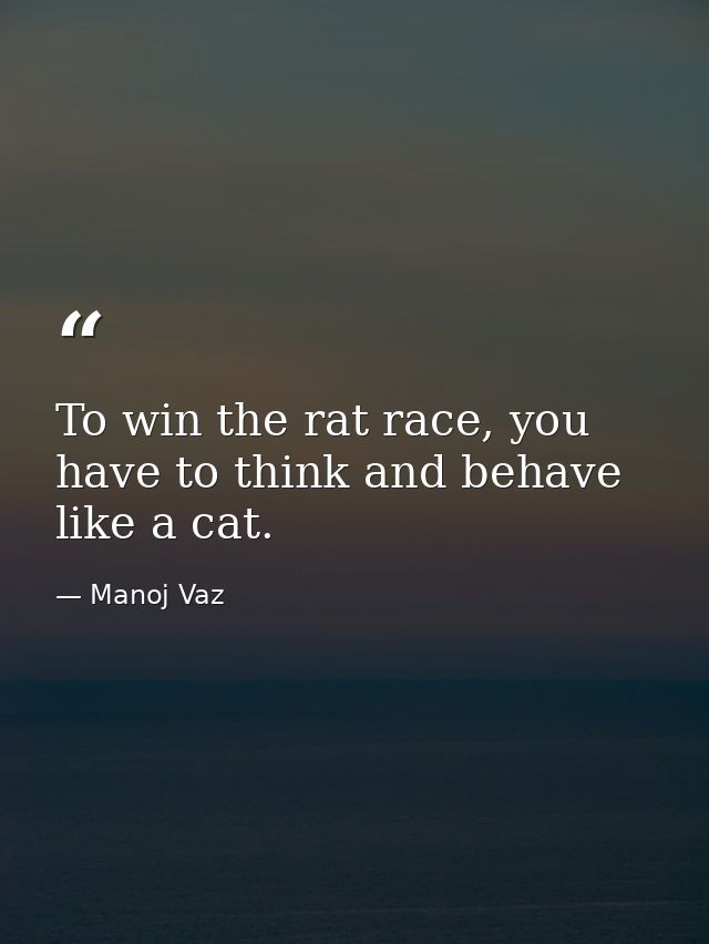 To win the rat race, you have to think and behave like a cat. — Manoj Vaz