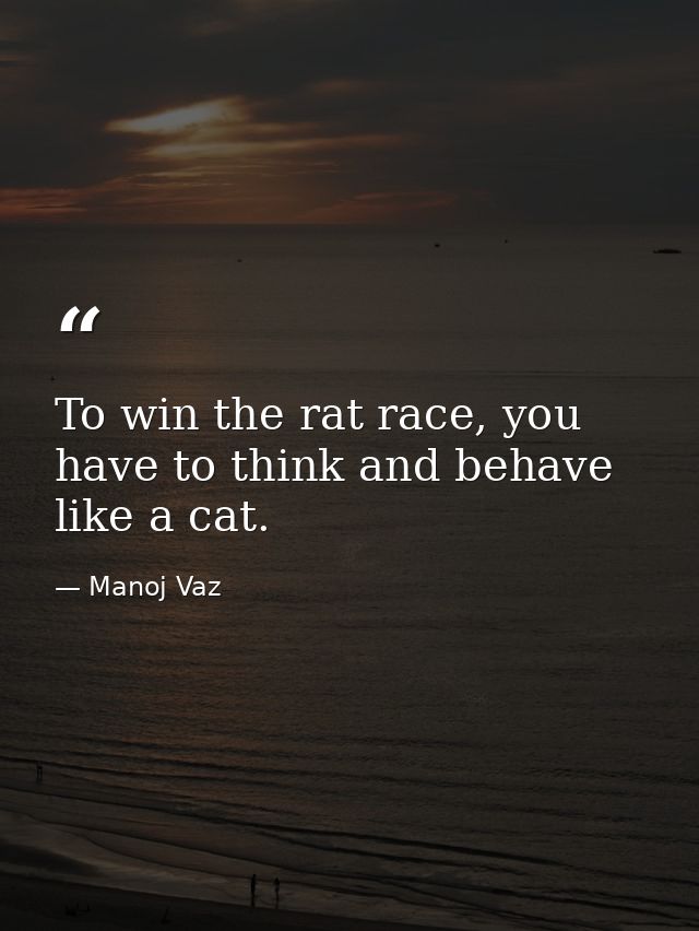 To win the rat race, you have to think and behave like a cat. — Manoj Vaz