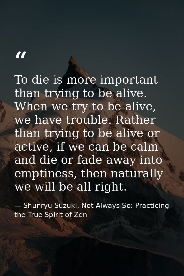 To die is more important than trying to be alive. When we try to be alive, we have trouble. Rather than trying to be ali — Shunryu Suzuki, Not Always So: Practicing the True Spirit of Zen